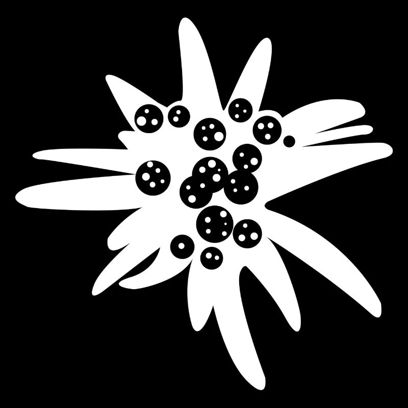 edelweiß