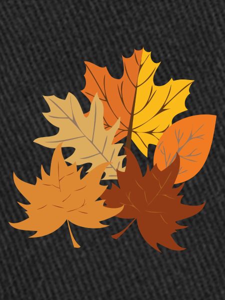 Automne