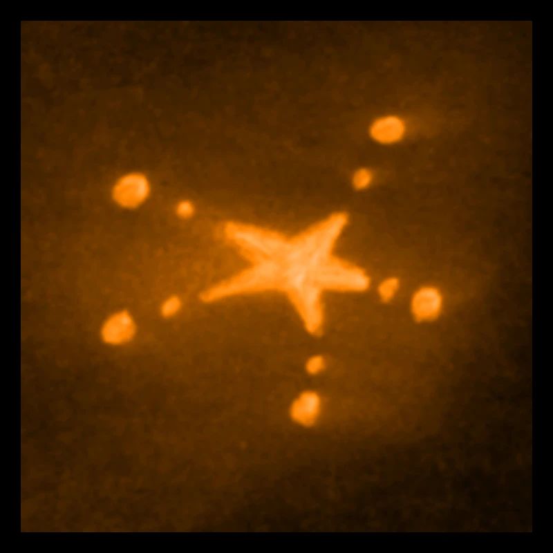 ORANGE STERN
