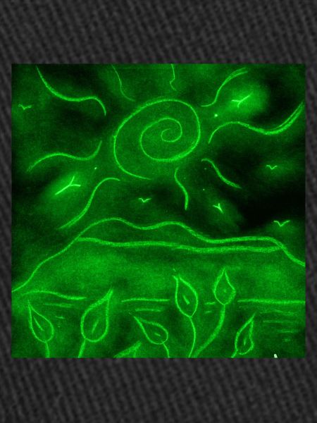 PAYSAGE NOCTURNE VERT
