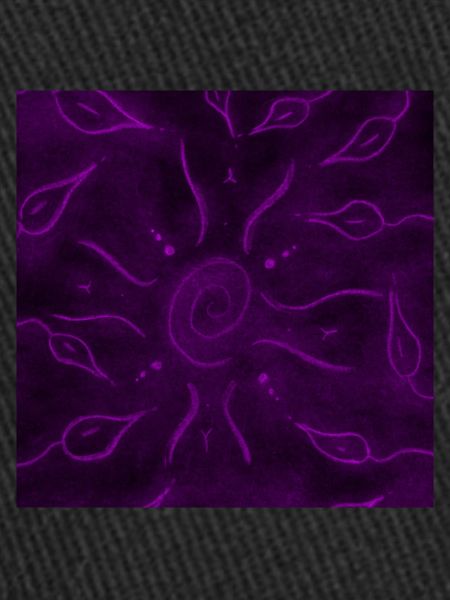 SOLEIL ET FLEURS VIOLETTES