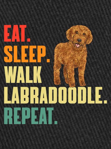 Labradoodle Dog