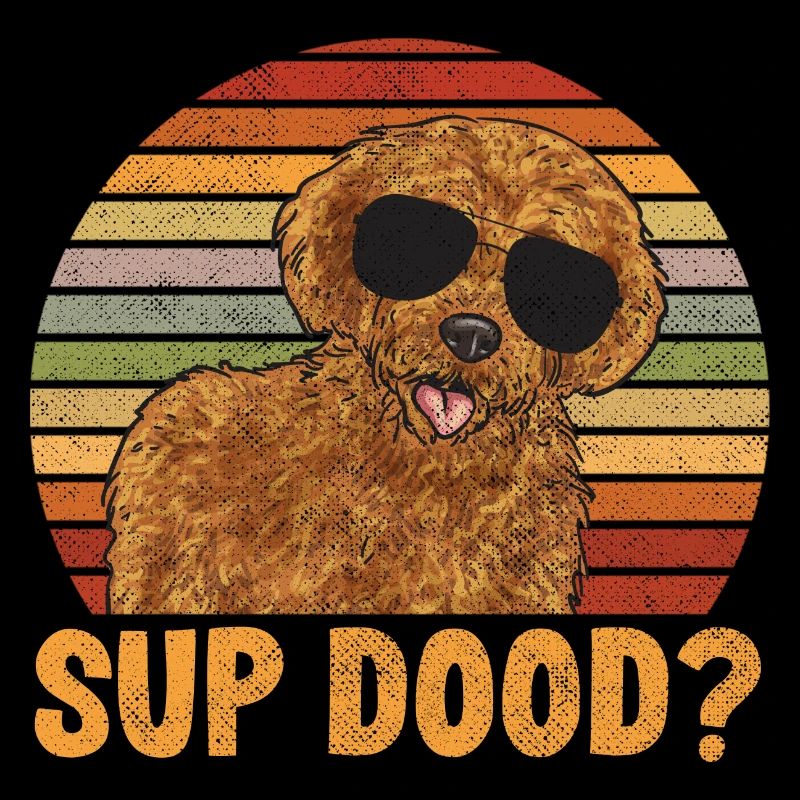 Labradoodle Chien