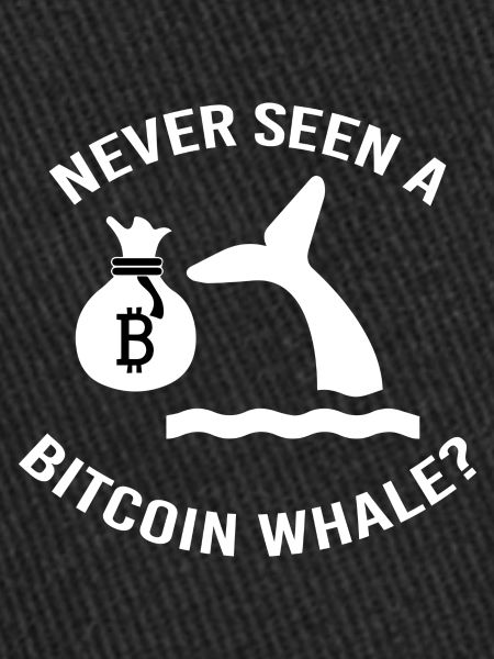 Bitcoin Trading Crypto Stocks