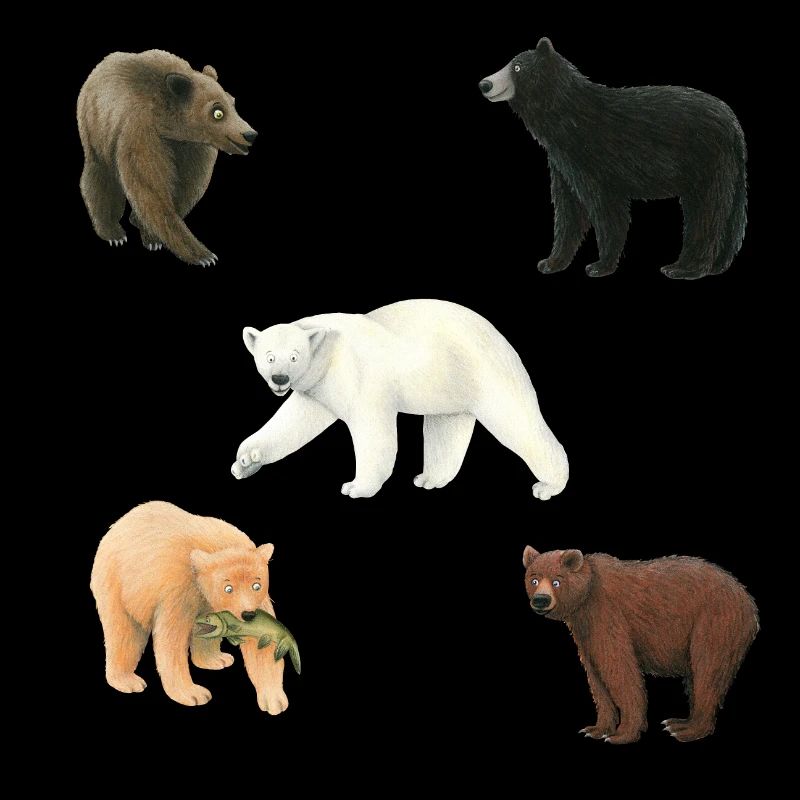 Ours