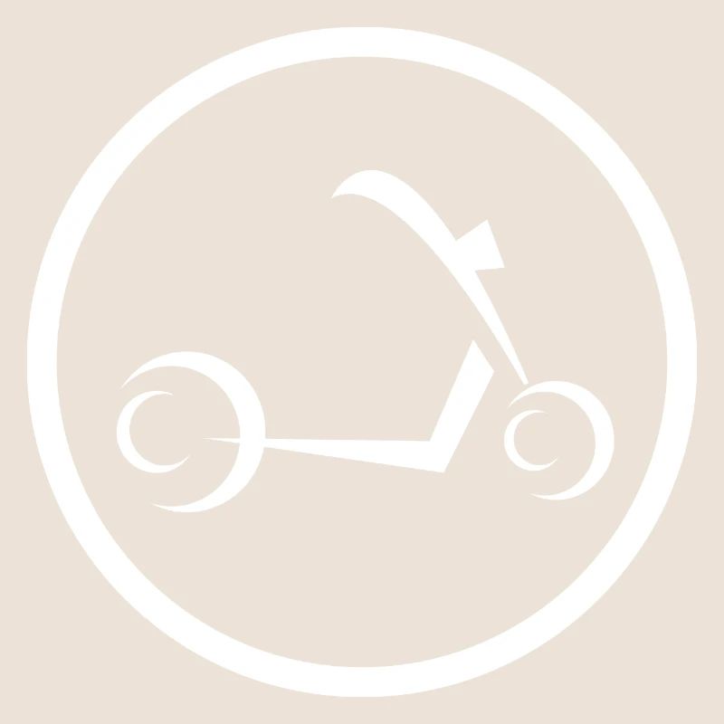 E-Scooter E-Roller Scooter