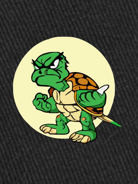 Lili the grumpy turtle