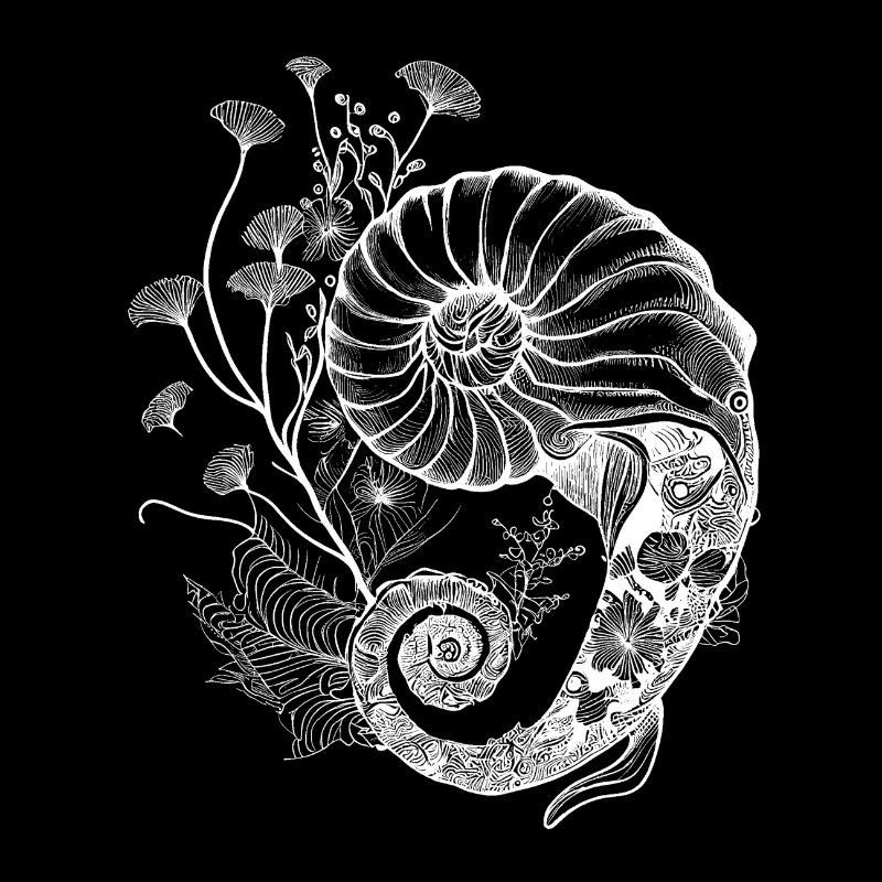 Nautilus / Nombre d’or avec fleurs