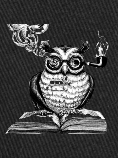 Le hibou intelligent
