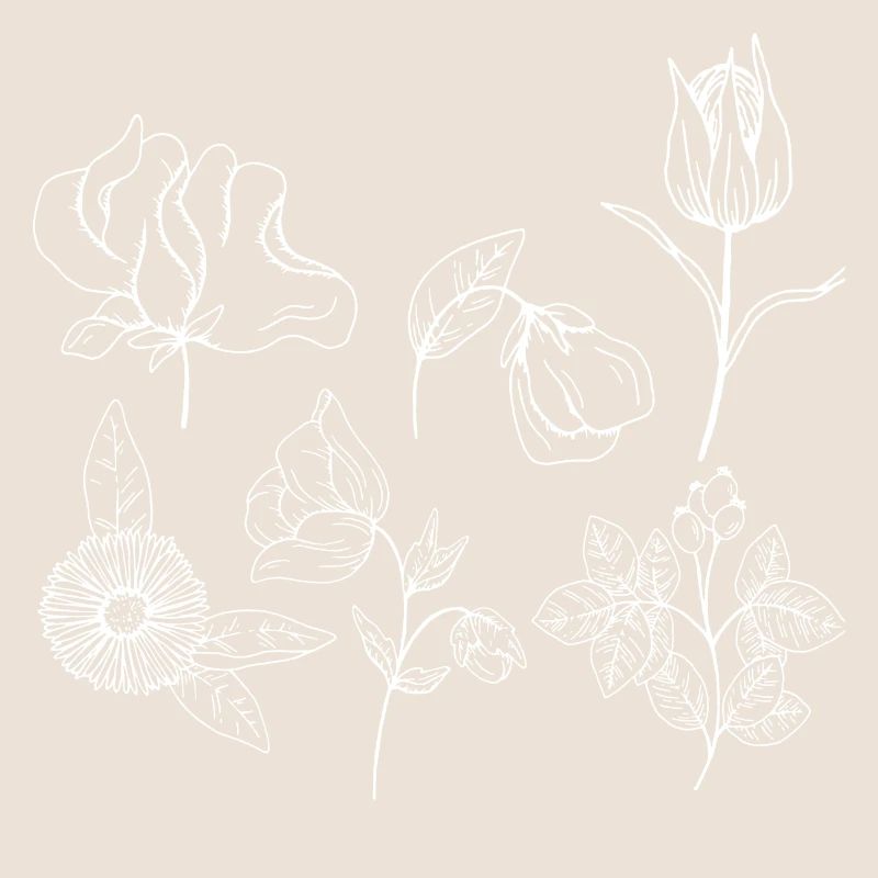 Groupe de fleurs minimalistes