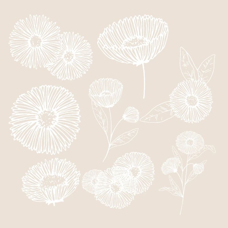 Groupe de fleurs aster
