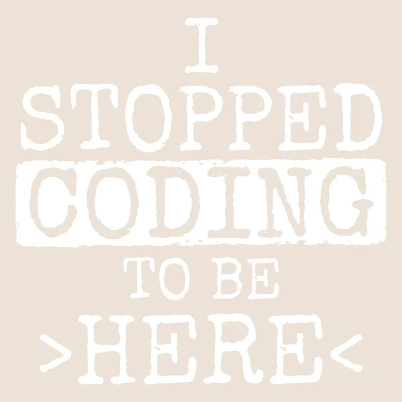 Software Ingenieur Informatiker Programmierer