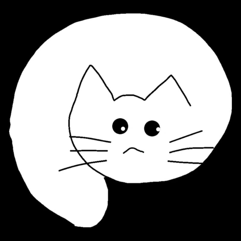 Cat white 1