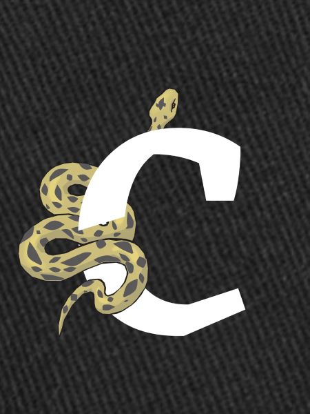 Lettre c serpent