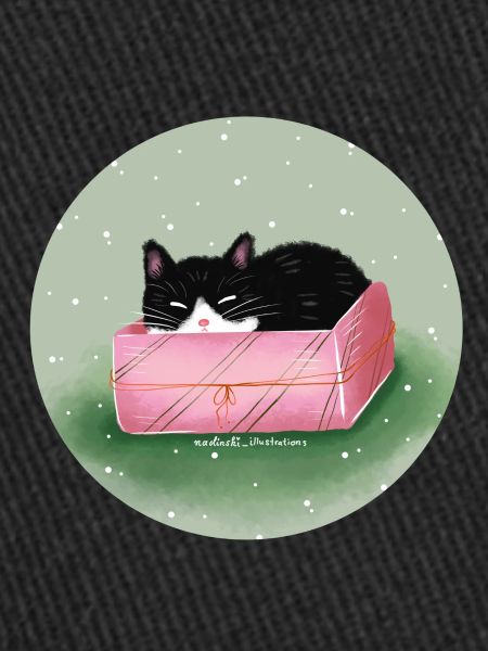 Chat dans la boîte