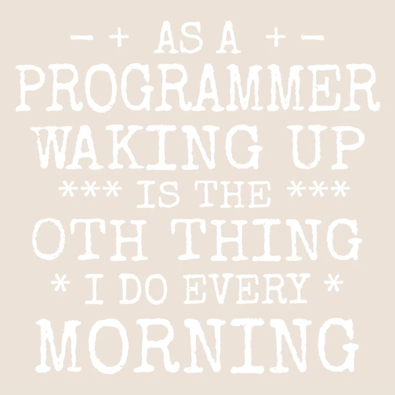 Software Ingenieur Informatiker Programmierer