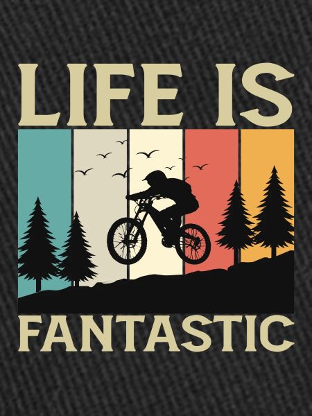 Life is Fantastic