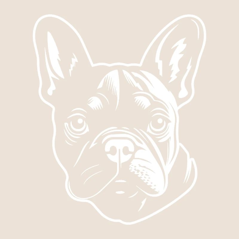 Bouledogue français Terrier de Boston