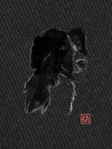Black dog