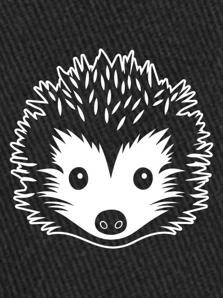 Hérisson Forest Prickly Animal