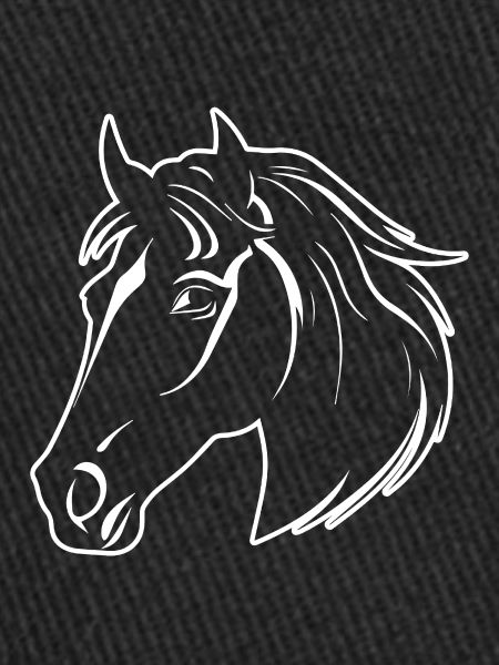 Poney tête de cheval