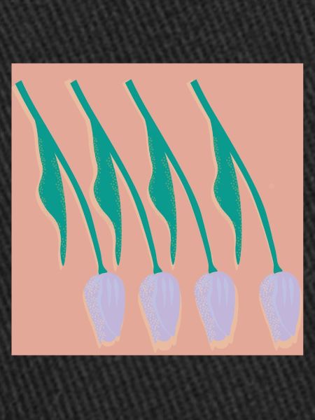 Tulipes