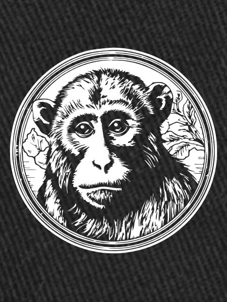 Affe Affen Affengesicht Dschungel