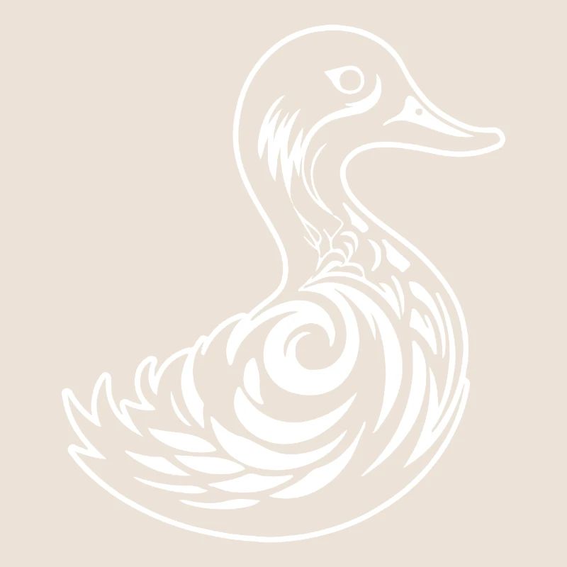 Duck Birds Ducks