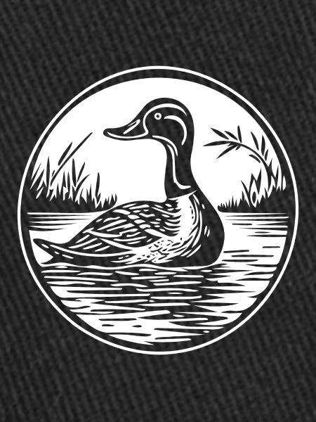 Canard Oiseaux Canards
