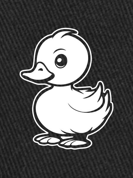 Canard Oiseaux Canards