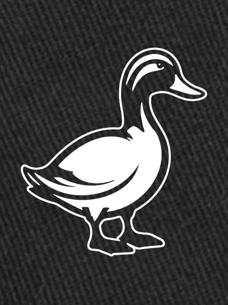 Canard Oiseaux Canards