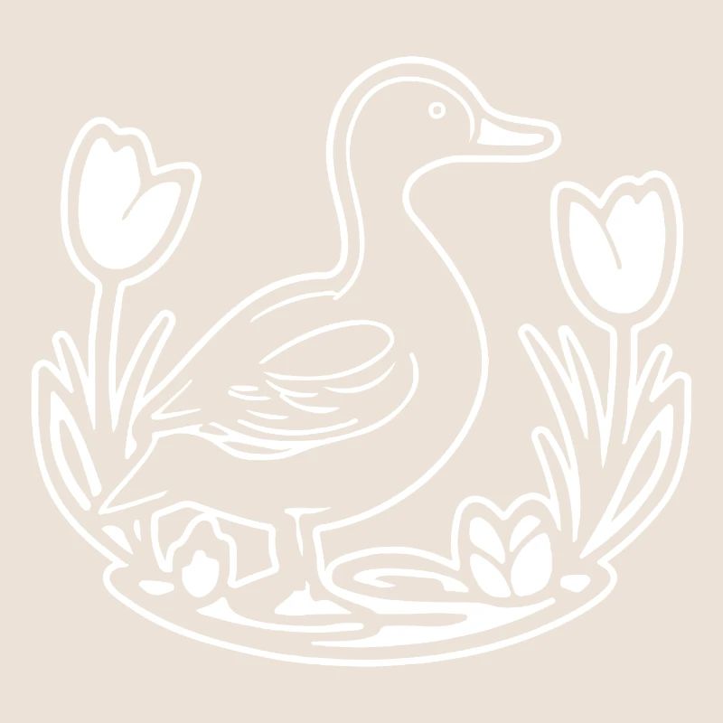 Duck Birds Ducks
