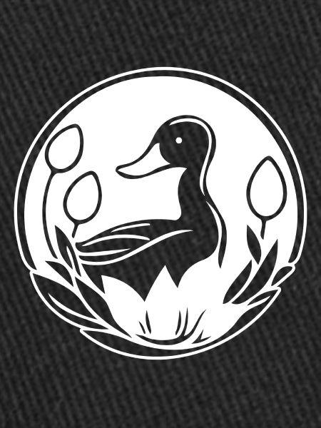 Canard Oiseaux Canards