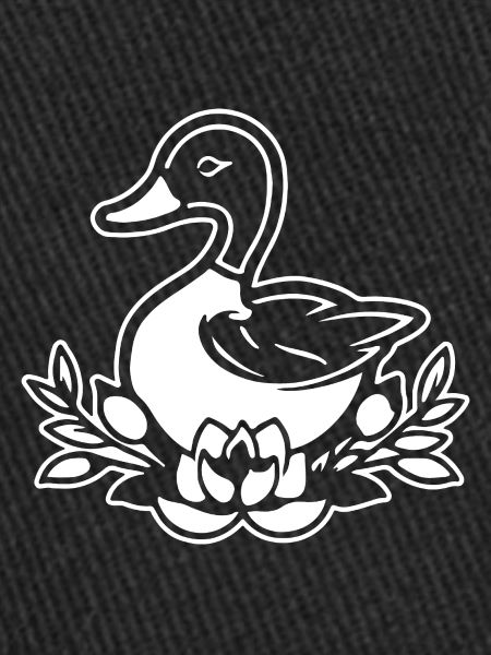 Canard Oiseaux Canards