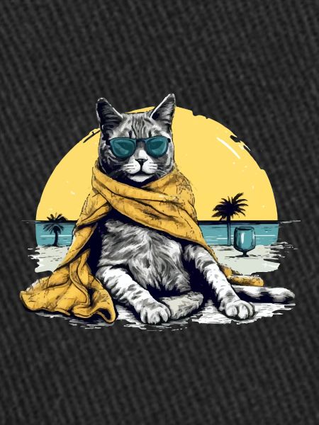 Koki le chat pacha