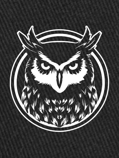 Owl Owl Bird Birds