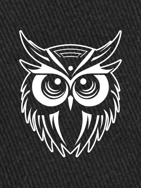 Owl Owl Bird Birds