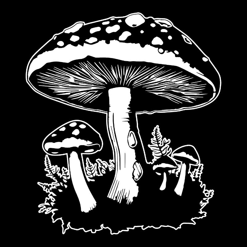 Champignon Cueilleur de champignons Champignons Champignons