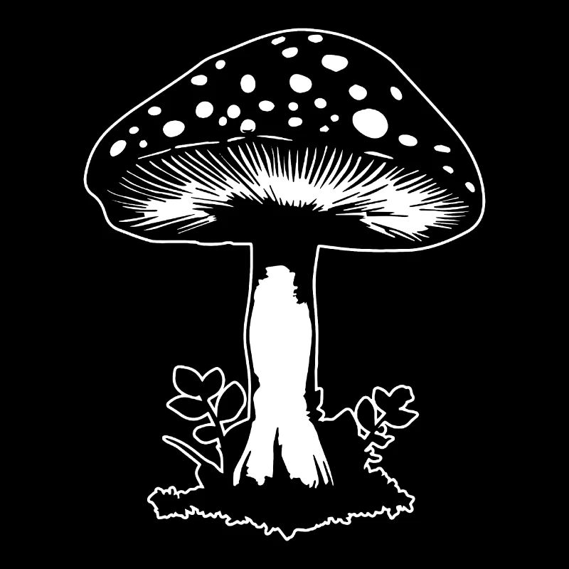 Champignon Cueilleur de champignons Champignons Champignons