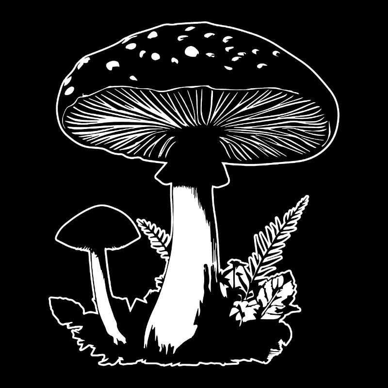 Champignon Cueilleur de champignons Champignons Champignons