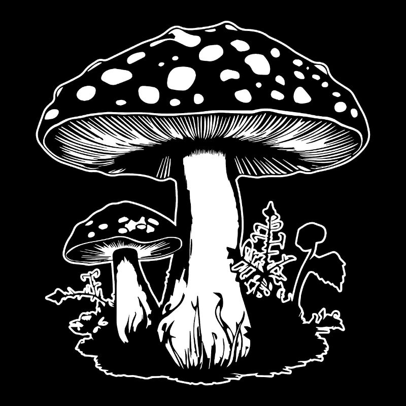 Champignon Cueilleur de champignons Champignons Champignons