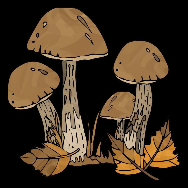 Mycètes
