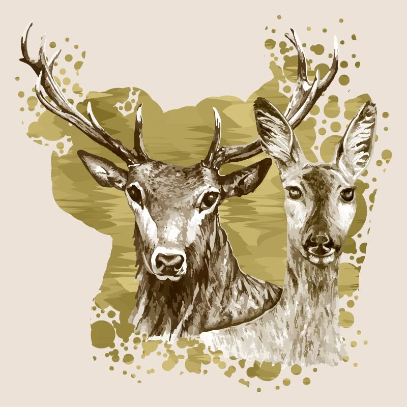 Cerfs et biche