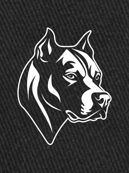 Pitbull