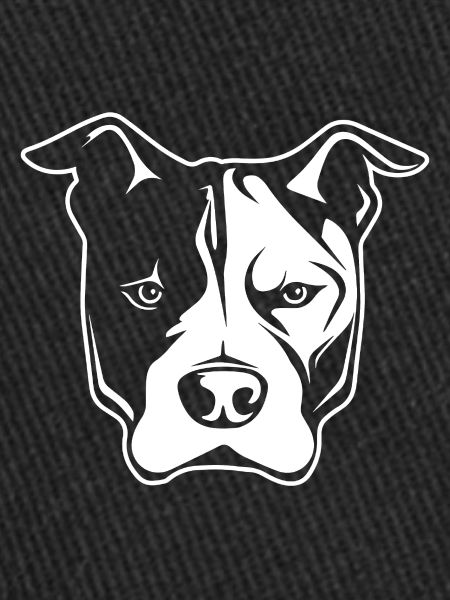Pitbull