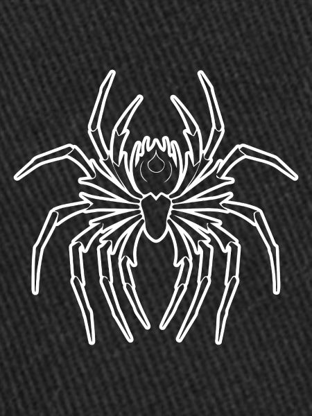 Araignée araignées animaux