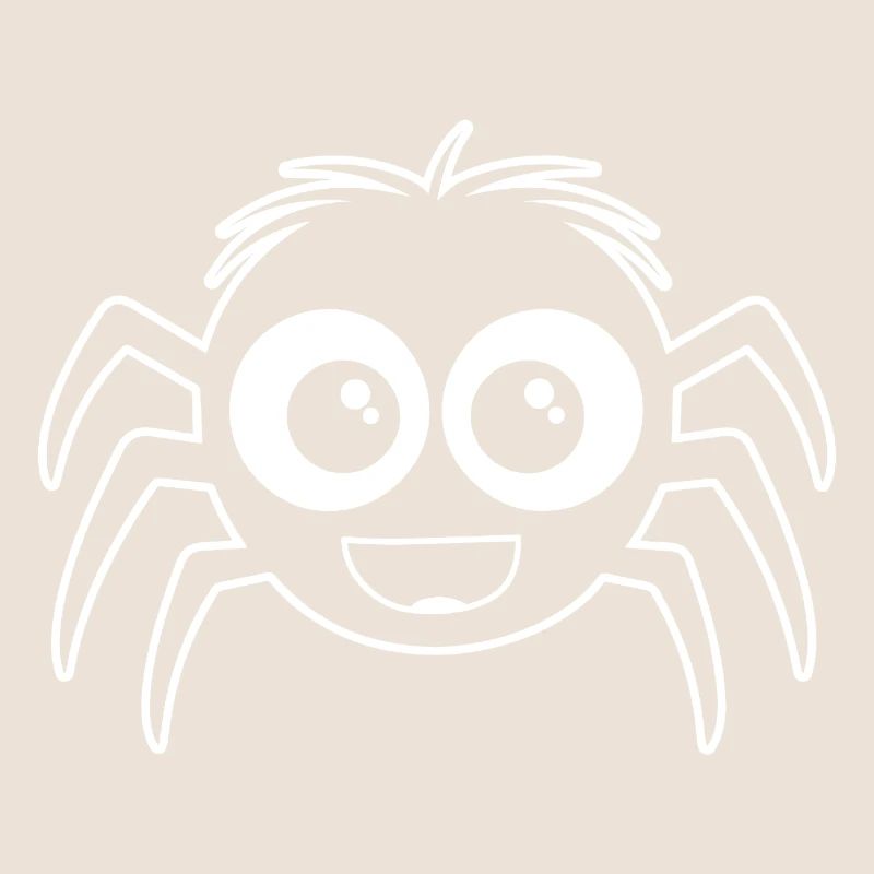 Spider spiders animals