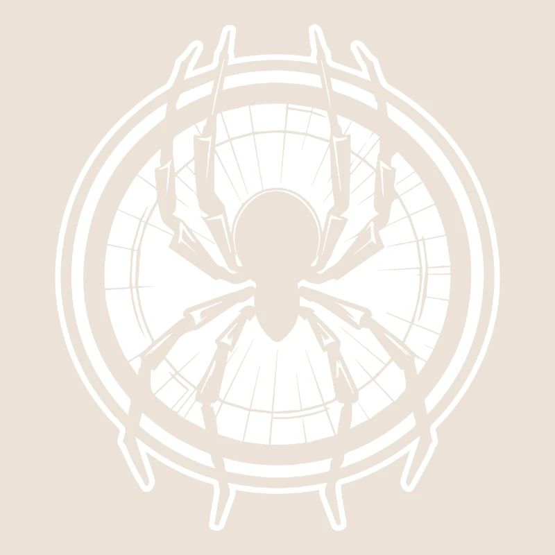 Spider spiders animals