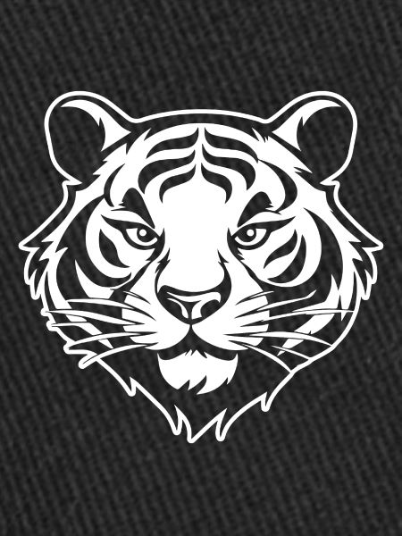 Tiger Big Cat