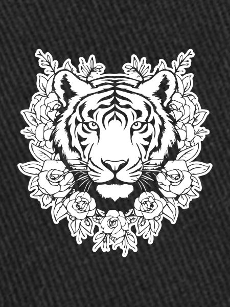 Tiger Big Cat